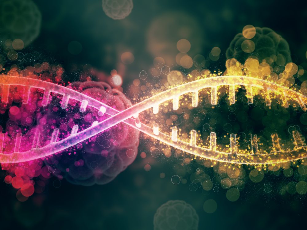 DNA image